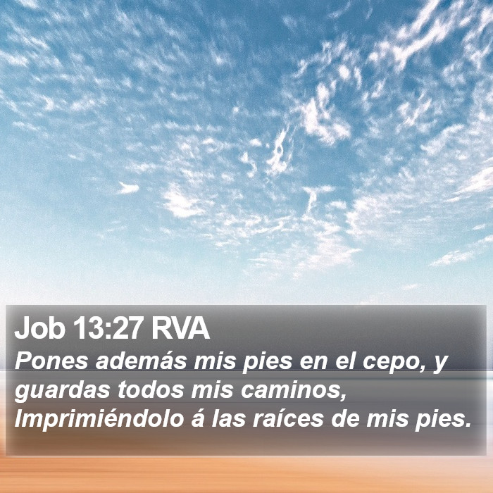 Job 13:27 RVA Bible Study