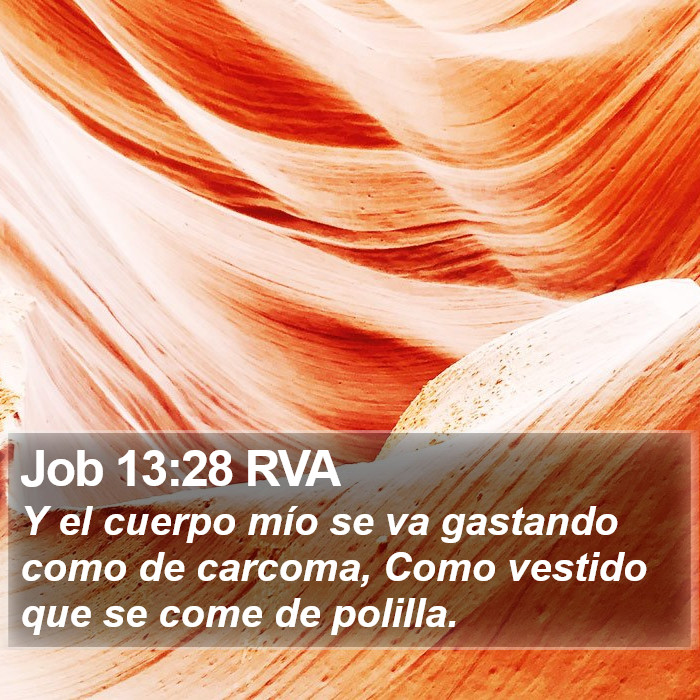 Job 13:28 RVA Bible Study