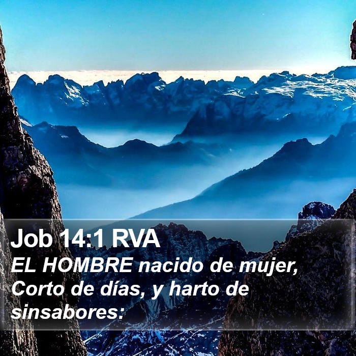 Job 14:1 RVA Bible Study