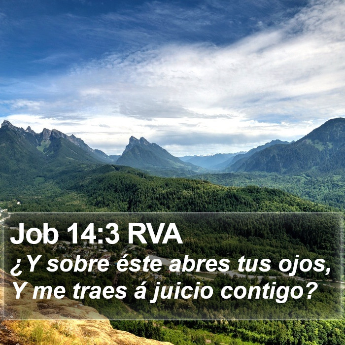 Job 14:3 RVA Bible Study