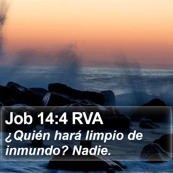 Job 14:4 RVA Bible Study