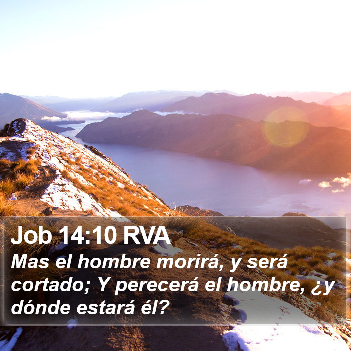 Job 14:10 RVA Bible Study