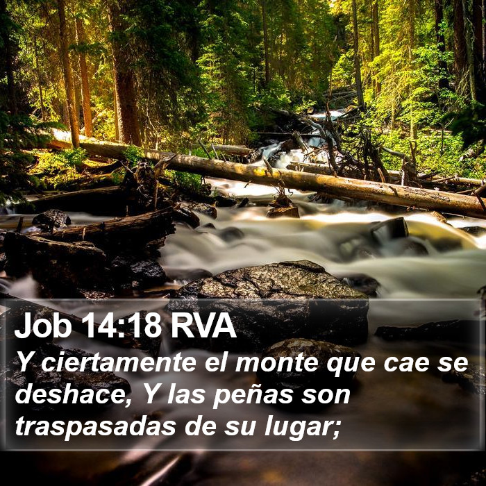 Job 14:18 RVA Bible Study