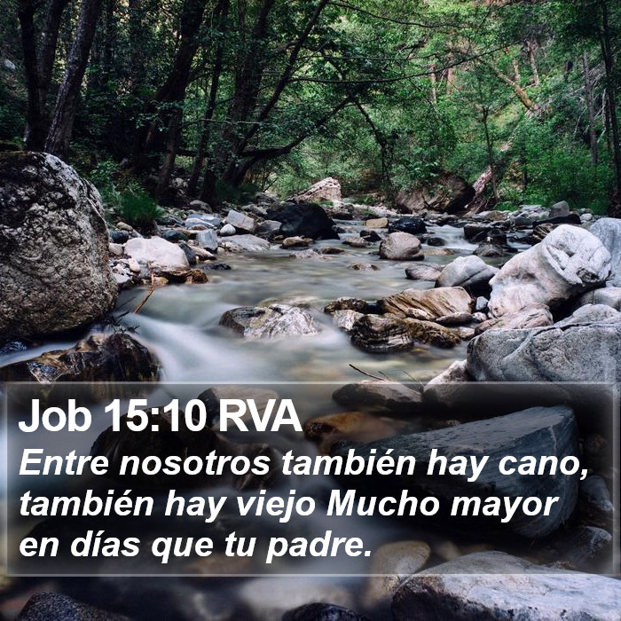 Job 15:10 RVA Bible Study