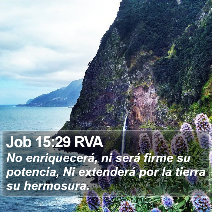 Job 15:29 RVA Bible Study