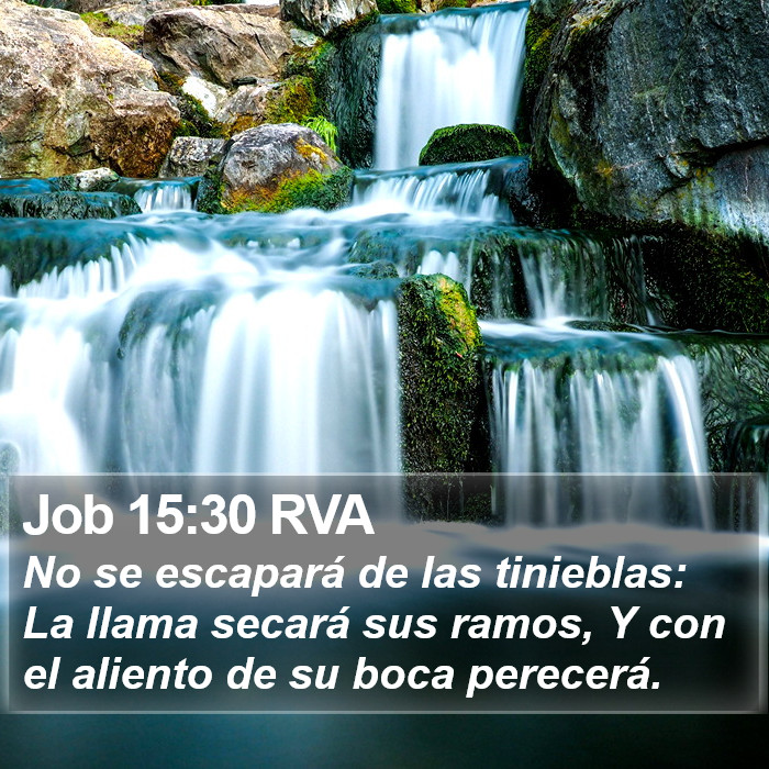 Job 15:30 RVA Bible Study