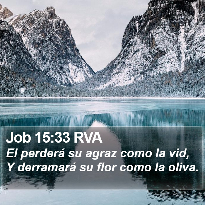 Job 15:33 RVA Bible Study