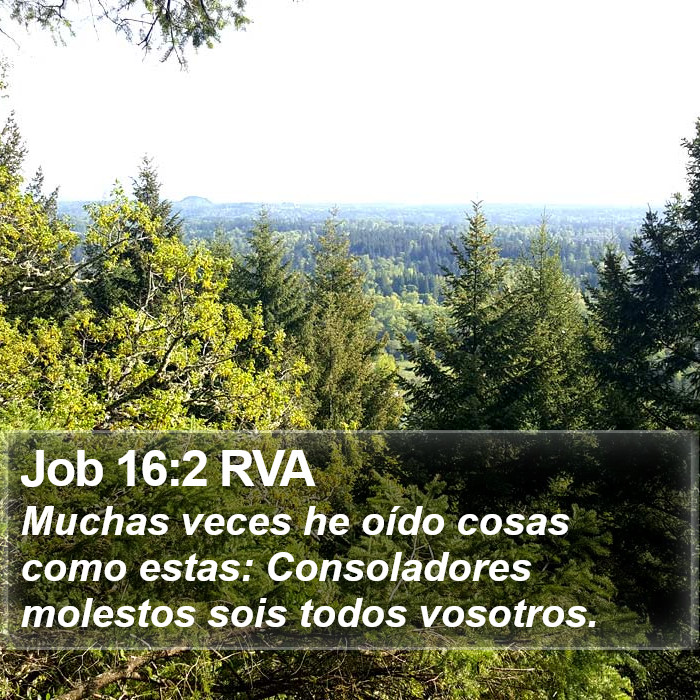 Job 16:2 RVA Bible Study