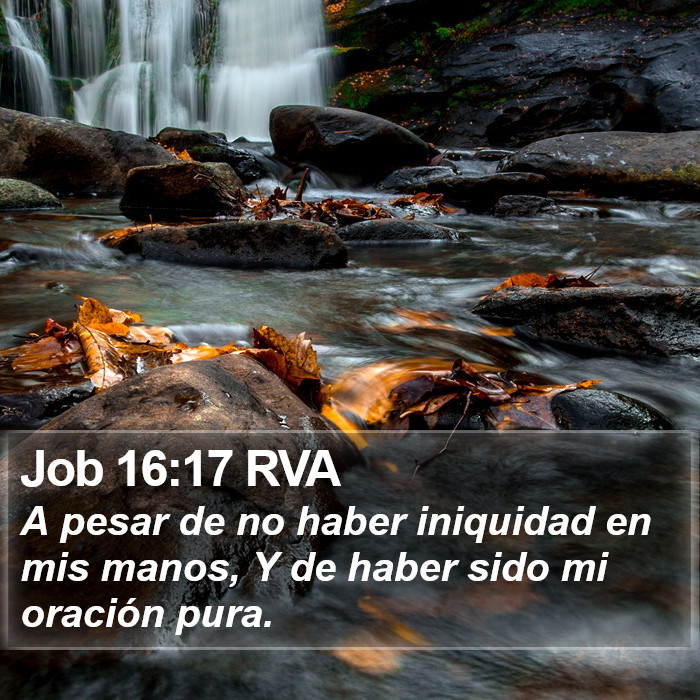 Job 16:17 RVA Bible Study