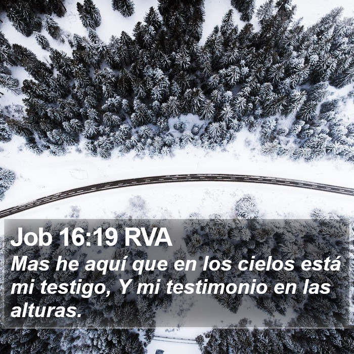 Job 16:19 RVA Bible Study