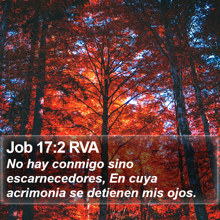 Job 17:2 RVA Bible Study