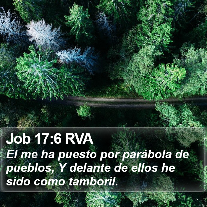 Job 17:6 RVA Bible Study