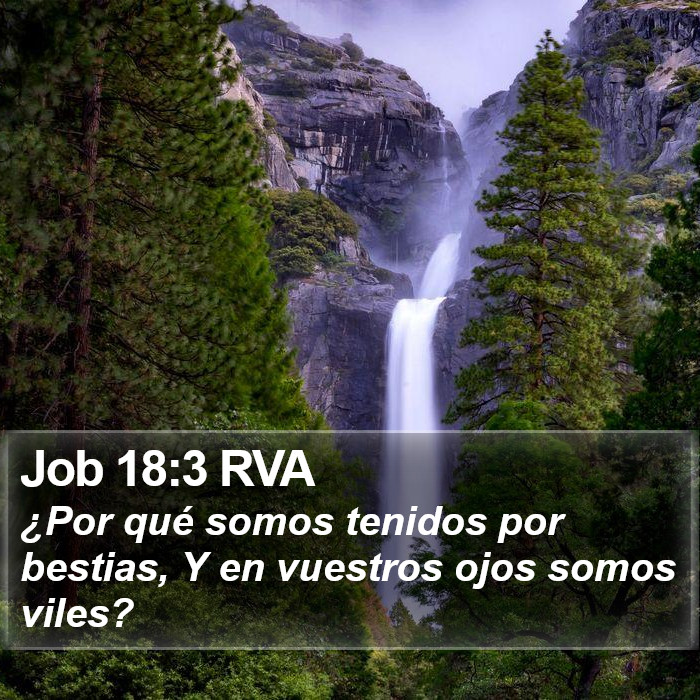 Job 18:3 RVA Bible Study