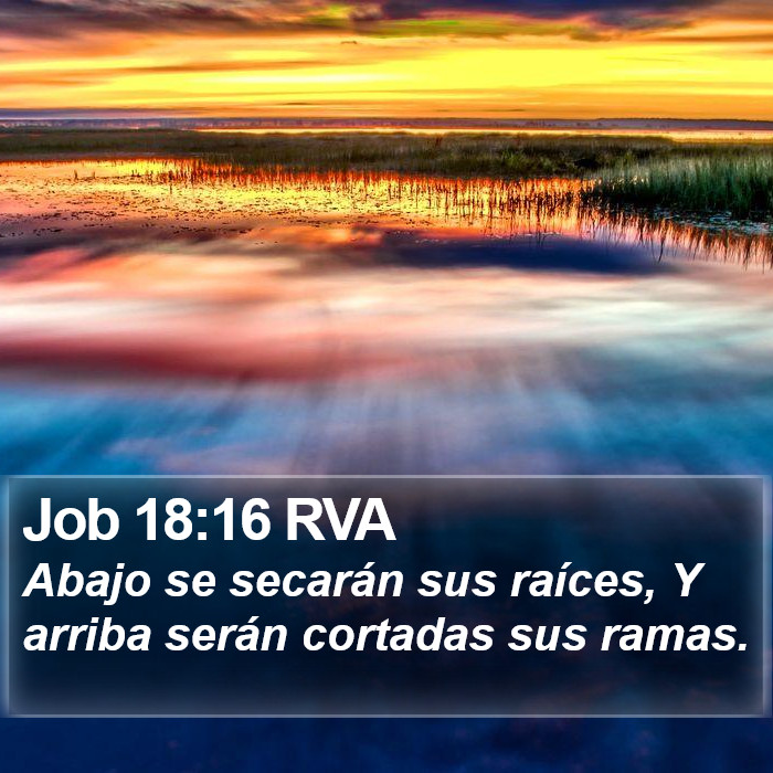 Job 18:16 RVA Bible Study