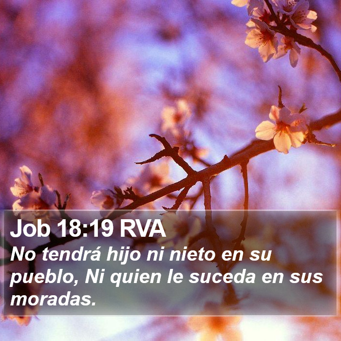 Job 18:19 RVA Bible Study