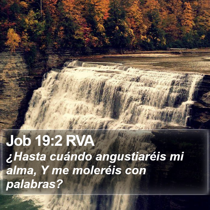 Job 19:2 RVA Bible Study