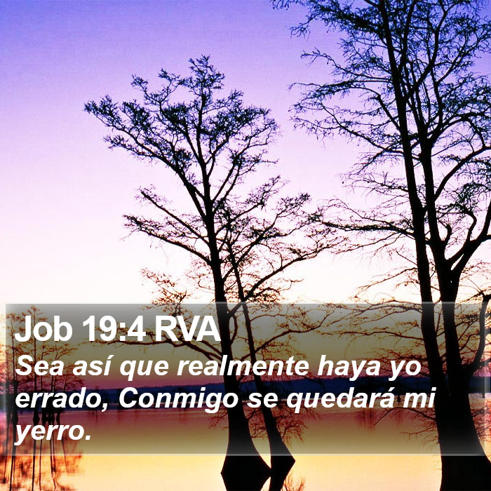 Job 19:4 RVA Bible Study