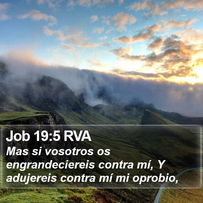 Job 19:5 RVA Bible Study