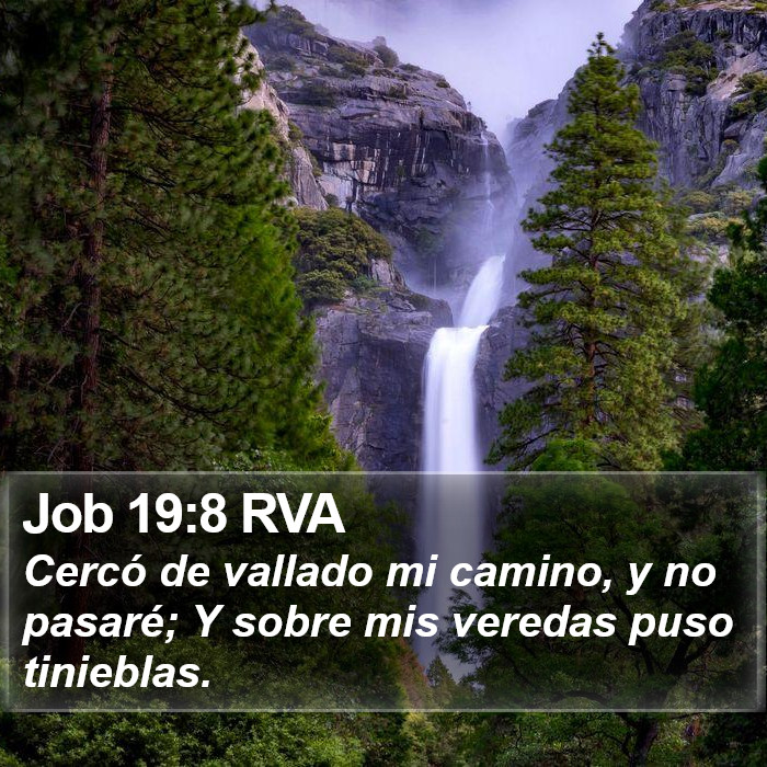 Job 19:8 RVA Bible Study