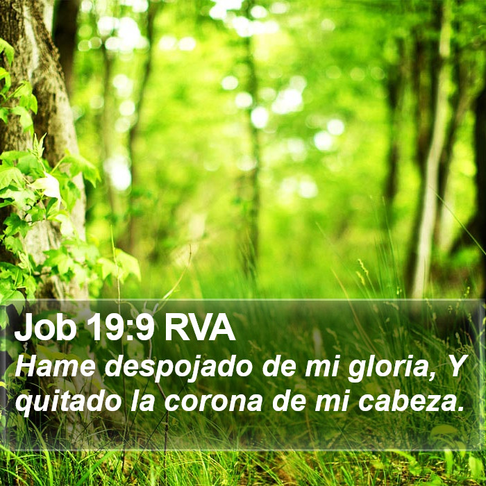 Job 19:9 RVA Bible Study