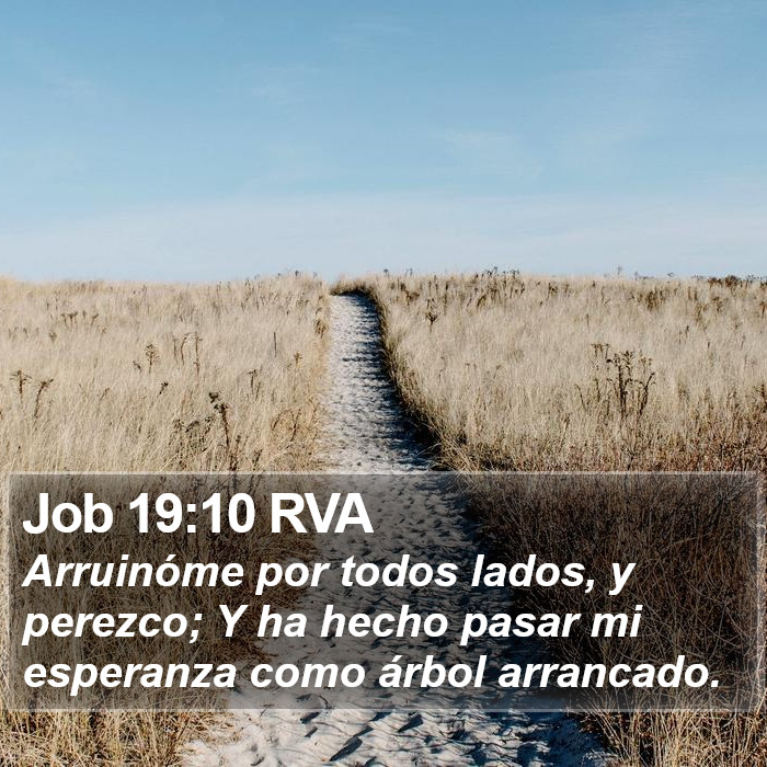 Job 19:10 RVA Bible Study