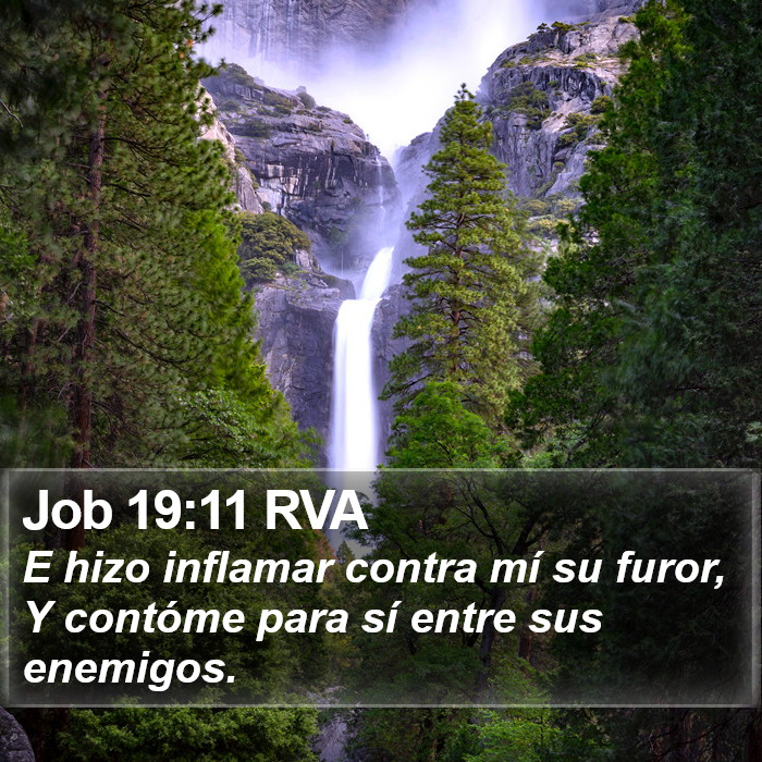 Job 19:11 RVA Bible Study