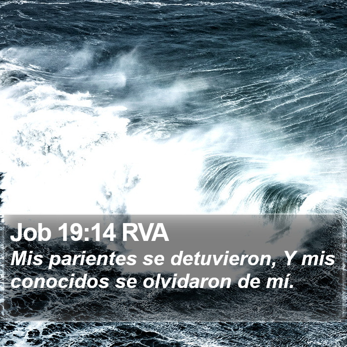 Job 19:14 RVA Bible Study