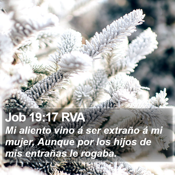 Job 19:17 RVA Bible Study