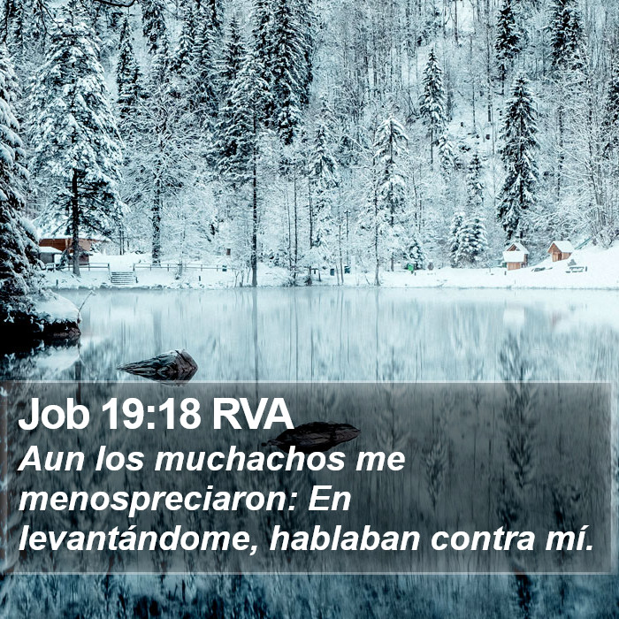 Job 19:18 RVA Bible Study