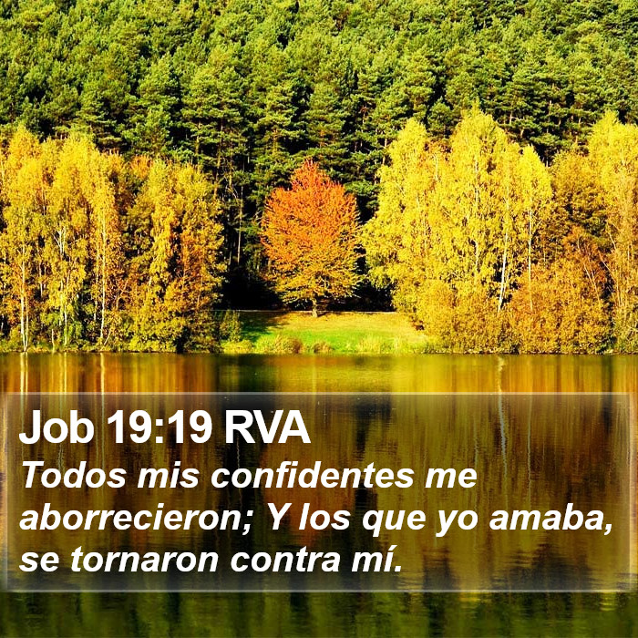 Job 19:19 RVA Bible Study