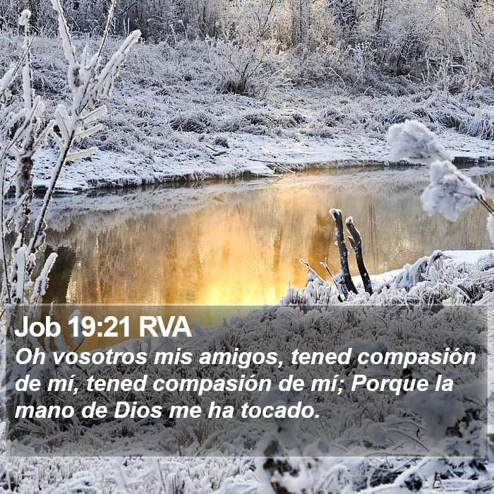 Job 19:21 RVA Bible Study