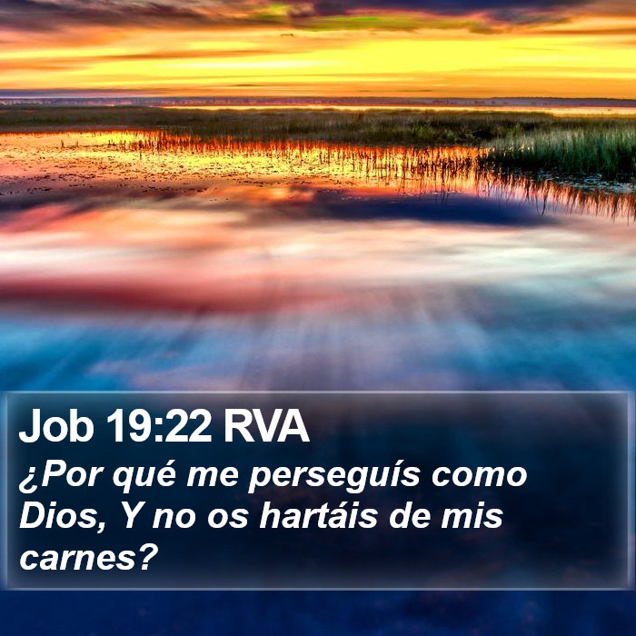 Job 19:22 RVA Bible Study