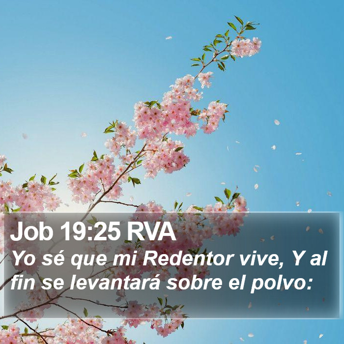 Job 19:25 RVA Bible Study