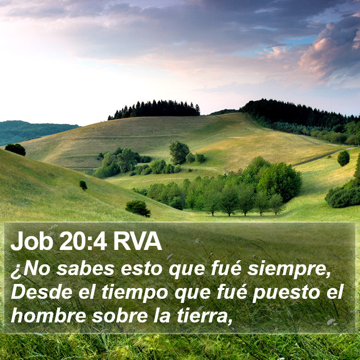 Job 20:4 RVA Bible Study