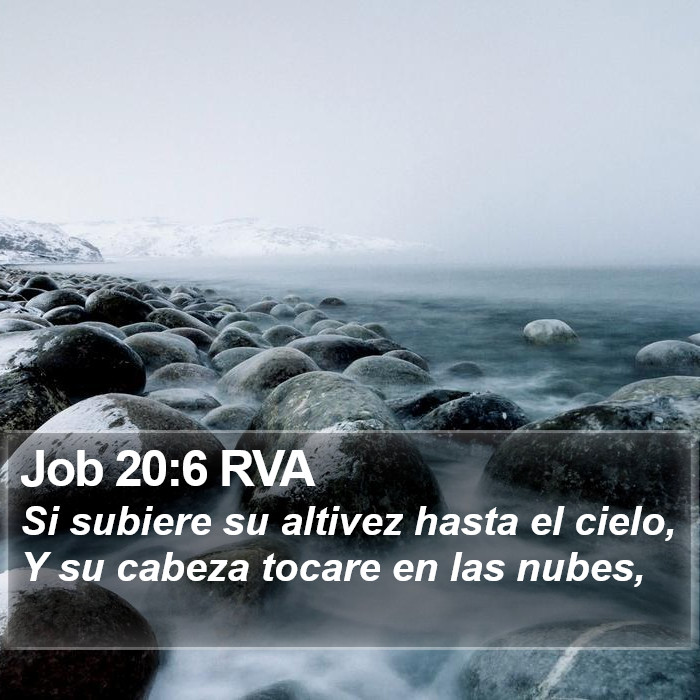 Job 20:6 RVA Bible Study