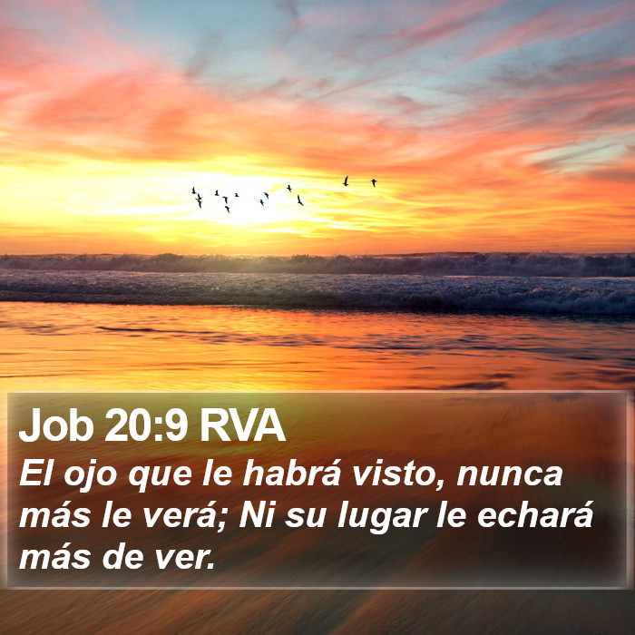 Job 20:9 RVA Bible Study