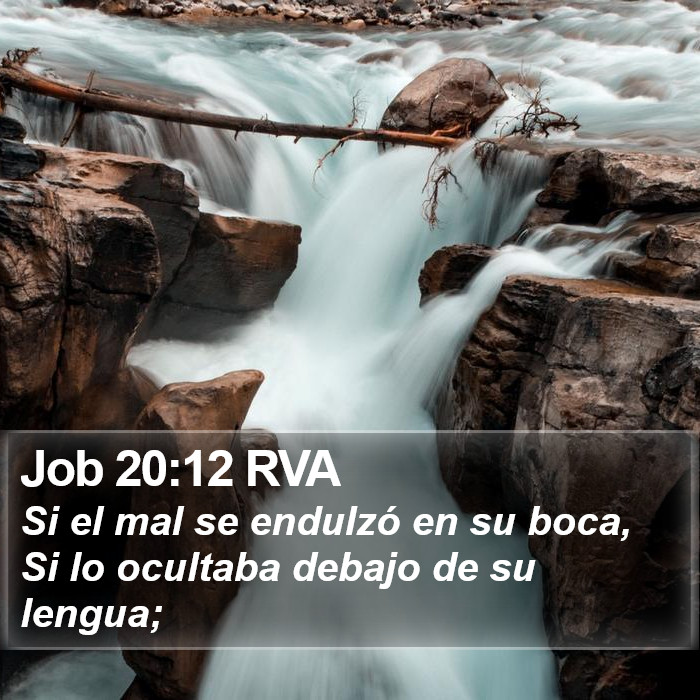 Job 20:12 RVA Bible Study