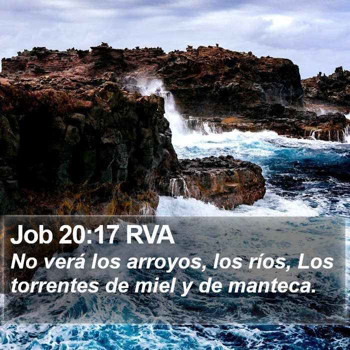 Job 20:17 RVA Bible Study