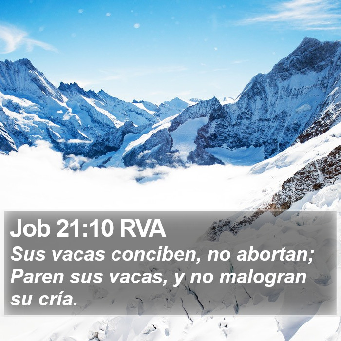 Job 21:10 RVA Bible Study