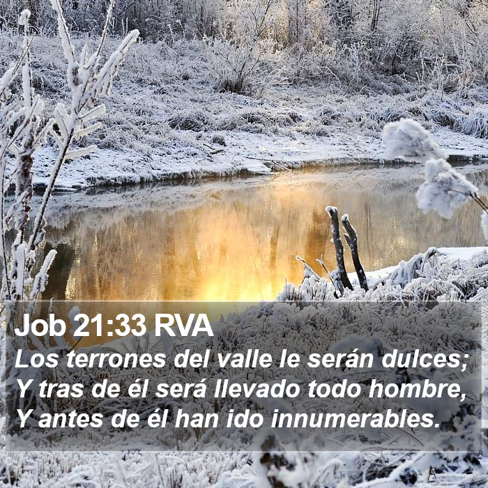 Job 21:33 RVA Bible Study