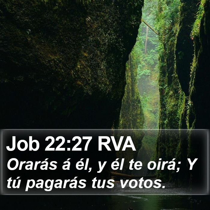 Job 22:27 RVA Bible Study