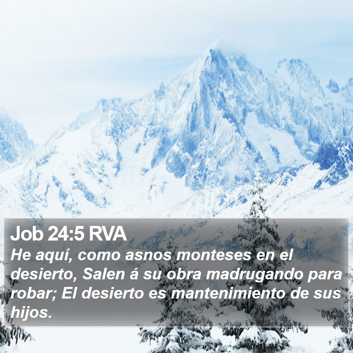 Job 24:5 RVA Bible Study