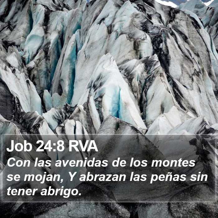 Job 24:8 RVA Bible Study