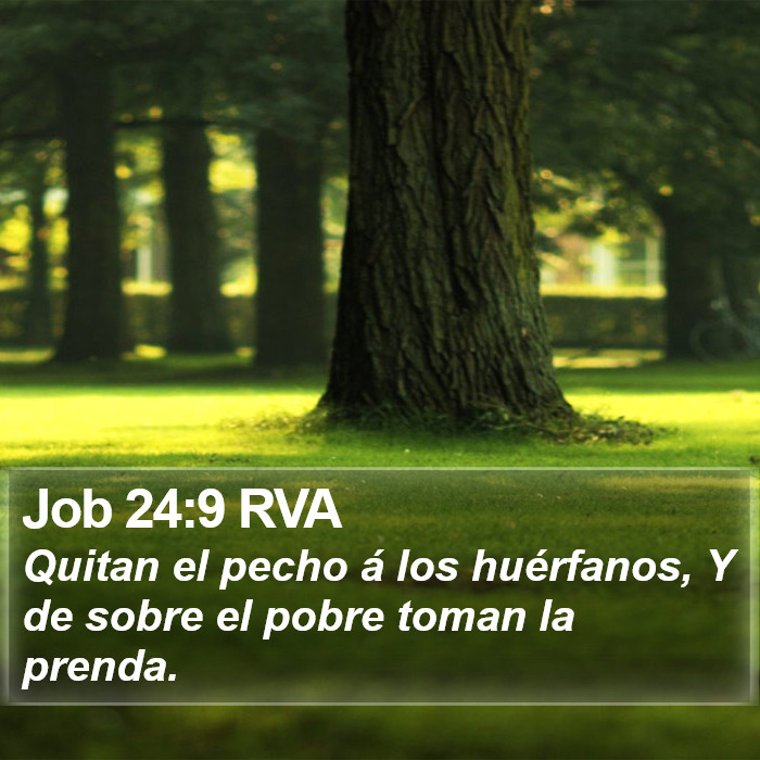 Job 24:9 RVA Bible Study