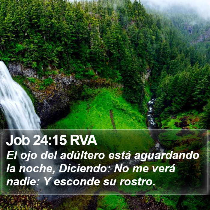 Job 24:15 RVA Bible Study