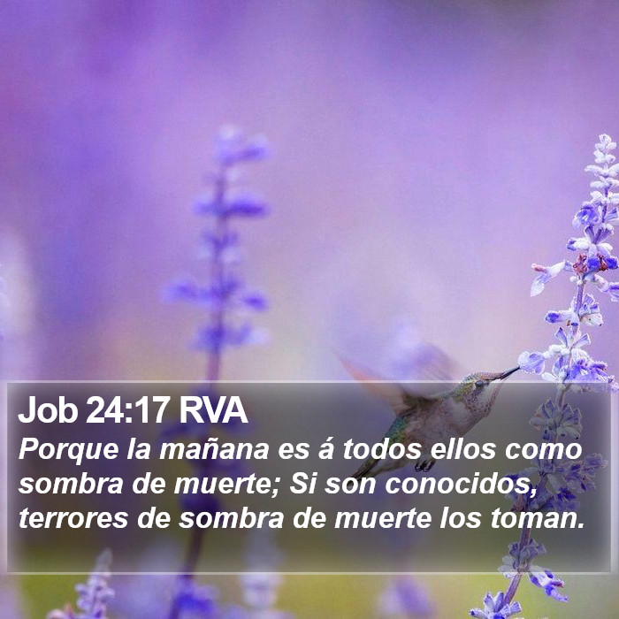 Job 24:17 RVA Bible Study