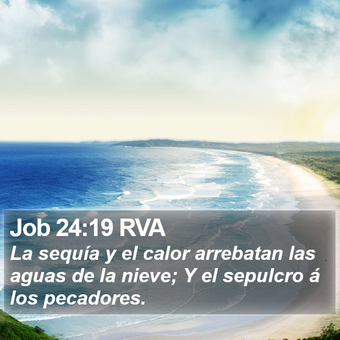 Job 24:19 RVA Bible Study