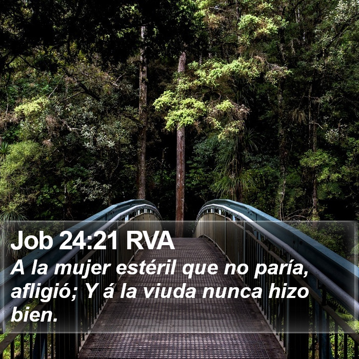 Job 24:21 RVA Bible Study