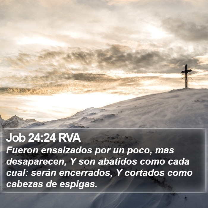 Job 24:24 RVA Bible Study