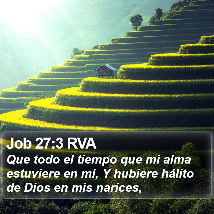 Job 27:3 RVA Bible Study